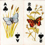 Sweetule Natural History cards