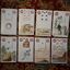 Lilac Dondorf Lenormand