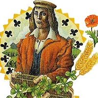 The Fortune Teller's Deck
