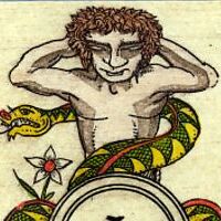 Cartes Turques Patience