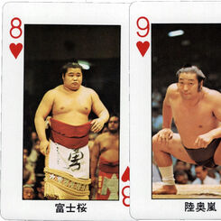 Sumo Wrestling