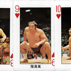 Sumo Wrestling