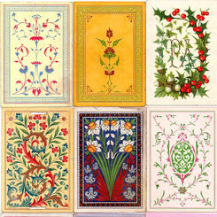 14: Back Designs