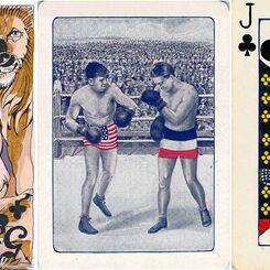 Advice and General Knowledge for Newer Collectors