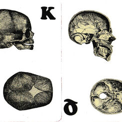 Carte Osteologiche