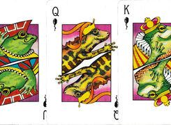 Kids Fun Box playing cards