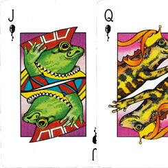 Kids Fun Box playing cards