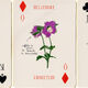Les Fleurs (Hachette Livre)
