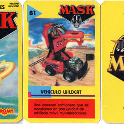 Mask