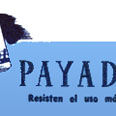 Naipes Payador
