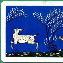 Nascal S.R.L., Buenos Aires, 1960-80