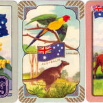 Collecting Playing Cards with Jan Walls