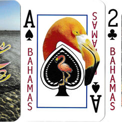Bahamas in Colour playing cards