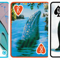 Whales and Friends