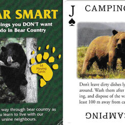 Get Bear Smart
