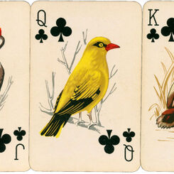 Maxi Puke 201 Circus Poker