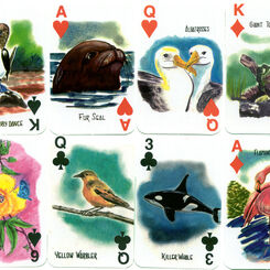 Galapagos Islands