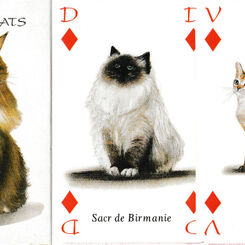 Jeu des Chats