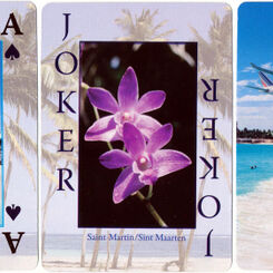 Saint-Martin Island Souvenir