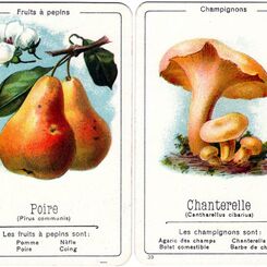 Fruits et Légumes
