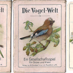 Die Vogel-Welt No. 351