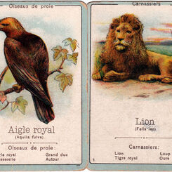 La Zoologie