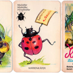 Kleine Tierwelt