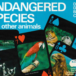 Endangered Species and other animals