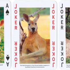 Australia by Steve Parish