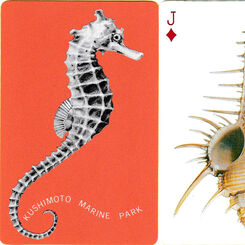 Kushimoto Marine Park