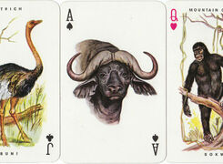 Sapra Studio Original