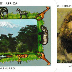 East African Playing Cards no. 2