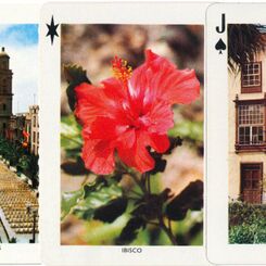 Canary Islands Souvenir
