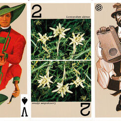 The New Game of Tarot (or Tarock)