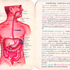 Bio-Pack