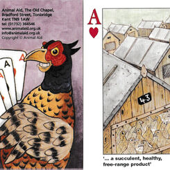 Animal Aid playing cards