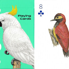 Birds playing cards