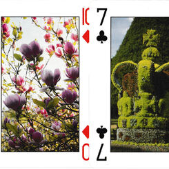 A Gardener’s Labyrinth