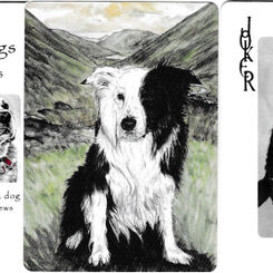 Pack of dogs