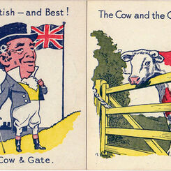 Cow & Gate ‘Snap’