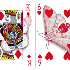Cryptic Cards