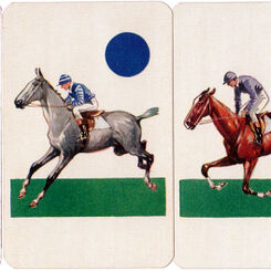 Race-Cardo
