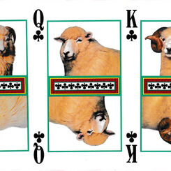 Axminster 100 playing cards
