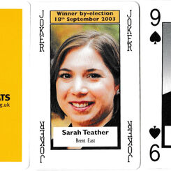 Liberal Democrats Playing Cards