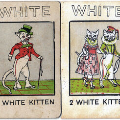The White Cat