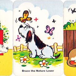 Fred Basset