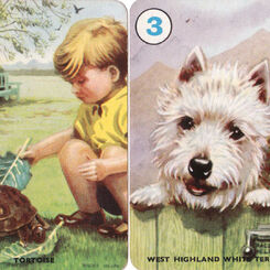 Pets / Family Favourites