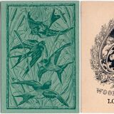 Woolley & Co: “Second Harrys”