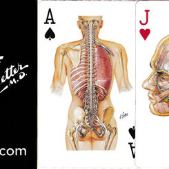 Netter playing cards