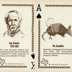 Texas Sesquicentennial